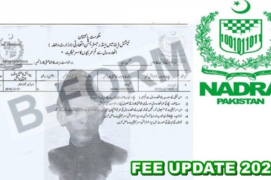 NADRA B-Form, Child Registration Certificate Fee In Pakistan (June 2024 ...