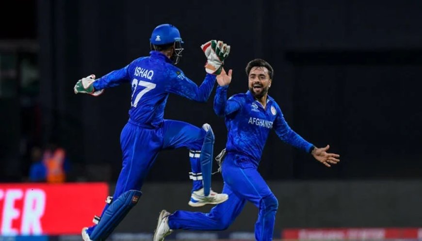 T20 World Cup 2024: Afghanistan Create History, Beat Bangladesh to Reach Semi-Final for First Time