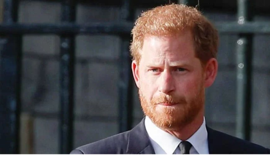 Prince Harry does not want to hurt stakeholders with negative popularity