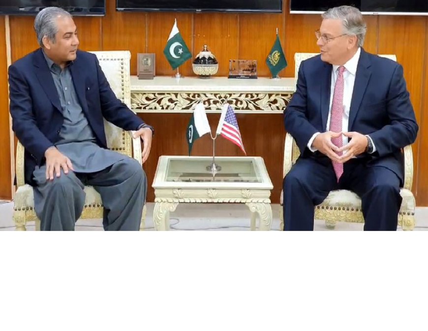 ISLAMABAD: United States Ambassador Donald Bloom during his meeting with Interior Minister Mohsin Naqvi on Saturday discussed matters of mutual interests and strengthening of bilateral relations with each other