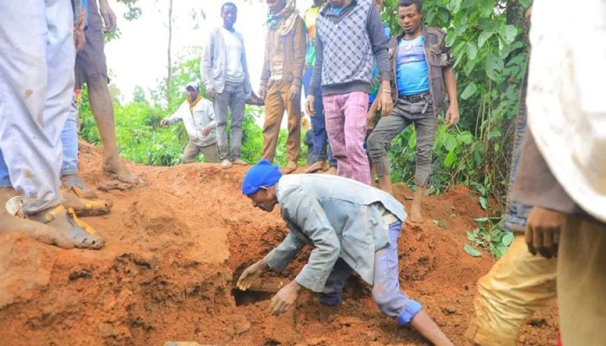 Landslide occurred following heavy rains in mountainous area of South Ethiopia regional state, say authorities