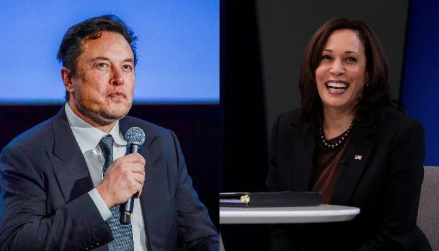 Tesla CEO re-shares an AI-generated parody video of Harris from her presidential campaign