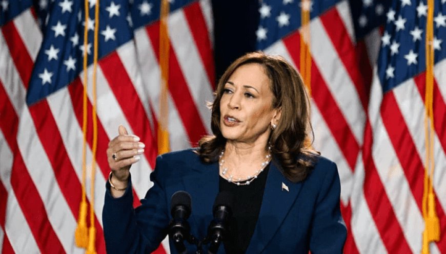 Kamala's campaign stated that 66 percent of donors are first-time contributors in 2024 campaign cycle