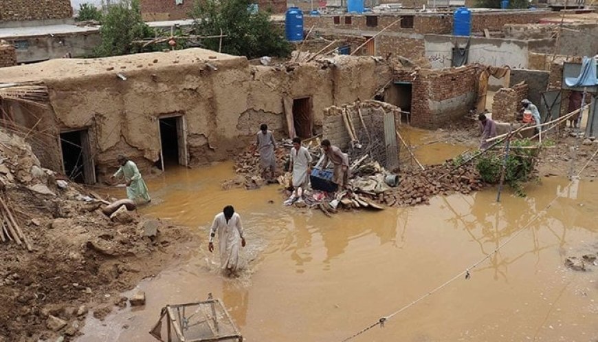 PDMA says monsoon spell has caused heavy downpours since July 29 in different areas of KP