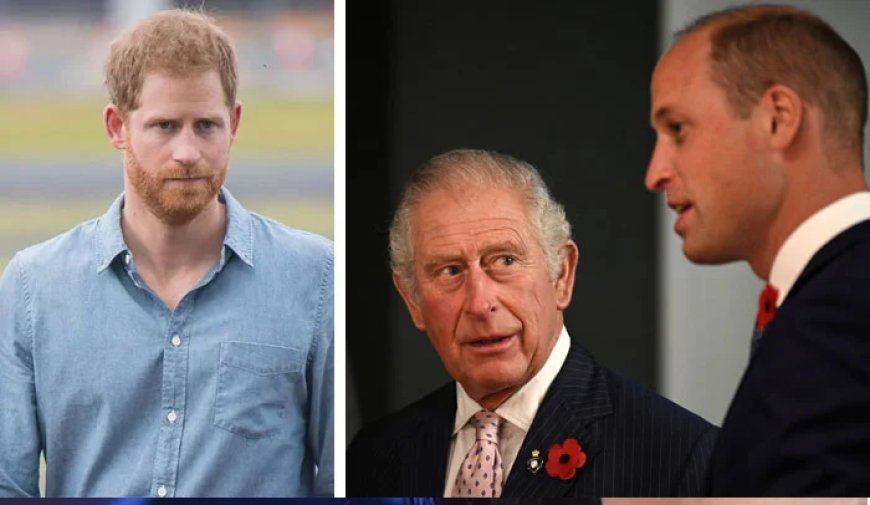 Prince Harry has been ridiculed for turning more and more desperate in his attempts to get close to King Charles, William