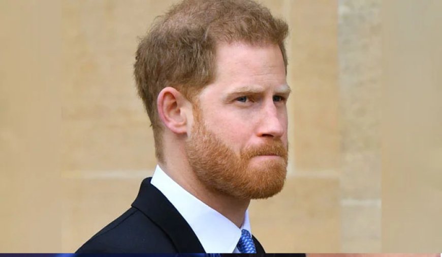 Prince Harry has just been called out for thinking he ever had a chance