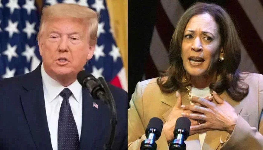 Trump will try to box in Harris on issues like economy and immigration, but may also unleash more of racist insults