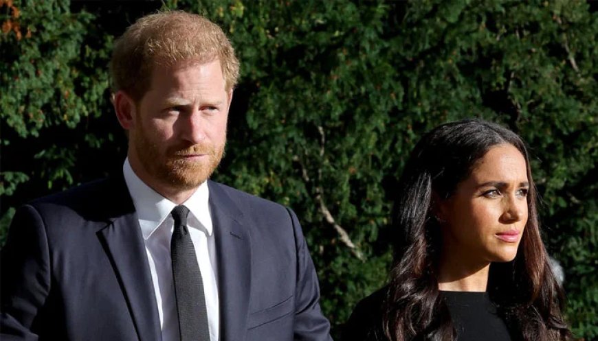 Prince Harry and Meghan Markle are expected to make frequent tours around the world to build their brand