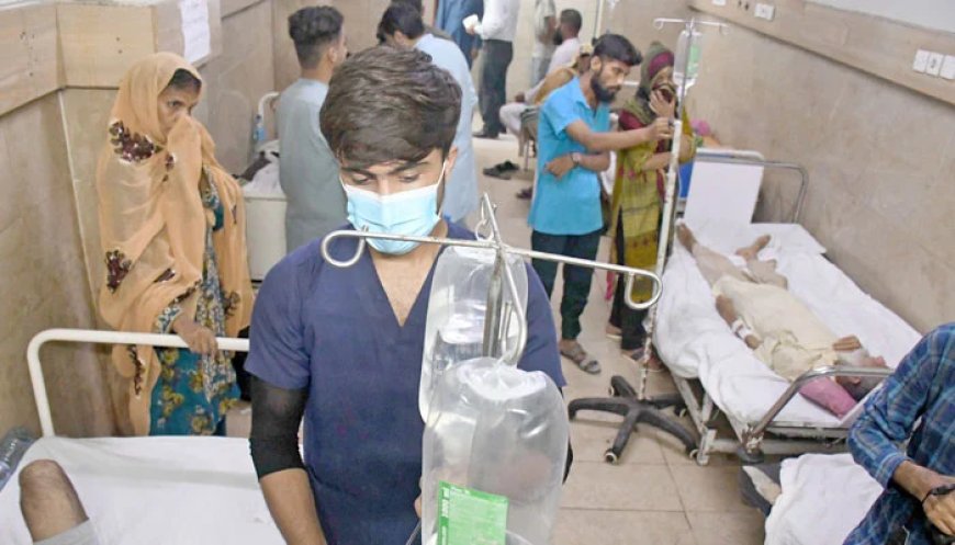 Chikungunya testing kits unavailable in govt hospitals as number of cases increase, say sources