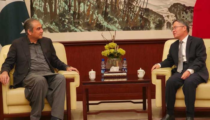 Minister reiterates Islamabad's commitment to ensuring justice, enhancing security for Chinese citizens