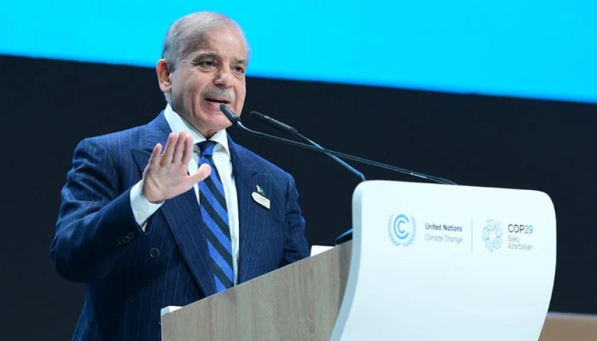 "Pakistan needs international support to deliver climate ambitions," says Premier Shehbaz, calling for grants, not loans