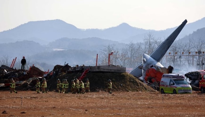 "175 passengers, 6 crew members aboard plane crashed at Muan airport," reports news agency